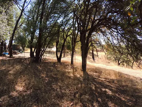 22095 Elk Trl, Redding, CA 96003 photo 6