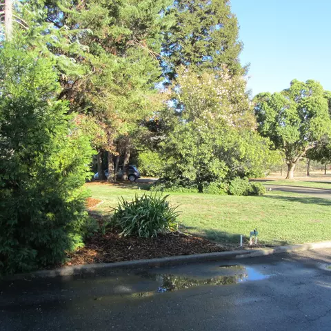 16945 Campo Calle, Redding, CA 96001 photo 25