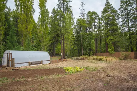 33108 Michelle Ln, Shingletown, CA 96088 photo 14