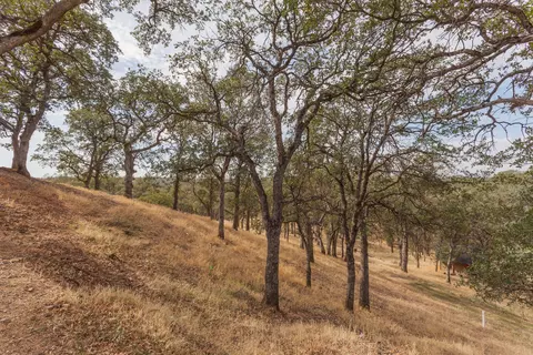 14407 Green Dr, Red Bluff, CA 96080 photo 39