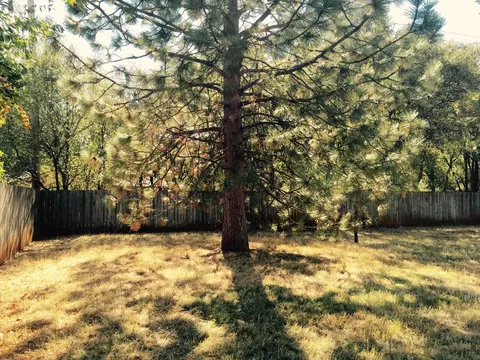 2145 Martian Way, Redding, CA 96002 photo 13
