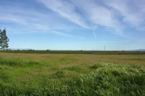 21215 Gyle Rd, Corning, CA 96021 photo 62