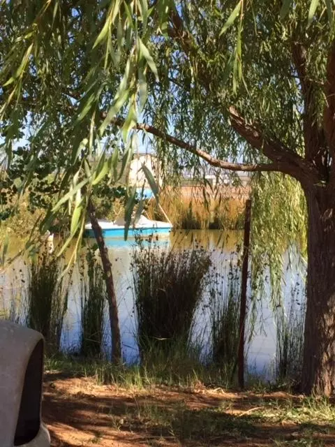 21215 Gyle Rd, Corning, CA 96021 photo 42