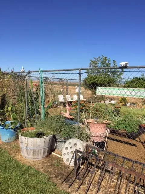 21215 Gyle Rd, Corning, CA 96021 photo 9