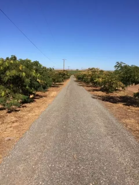 21215 Gyle Rd, Corning, CA 96021 photo 50