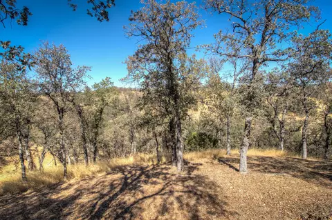 15160 Norbus Rd, Red Bluff, CA 96080 photo 38