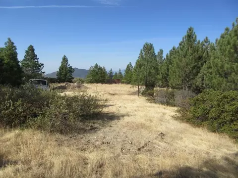 31018 Windy Point Dr, Montgomery Creek, CA 96065 photo 29