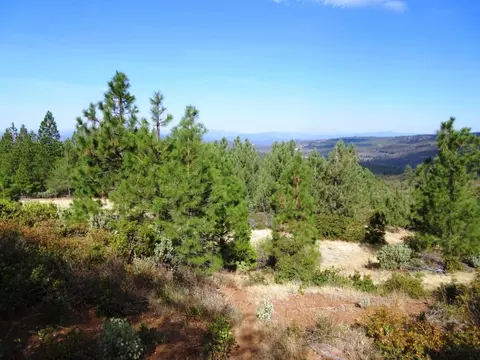 31018 Windy Point Dr, Montgomery Creek, CA 96065 photo 27