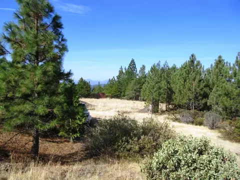 31018 Windy Point Dr, Montgomery Creek, CA 96065 photo 28