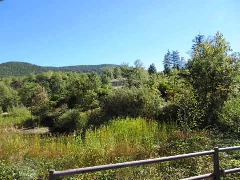 31018 Windy Point Dr, Montgomery Creek, CA 96065 photo 24