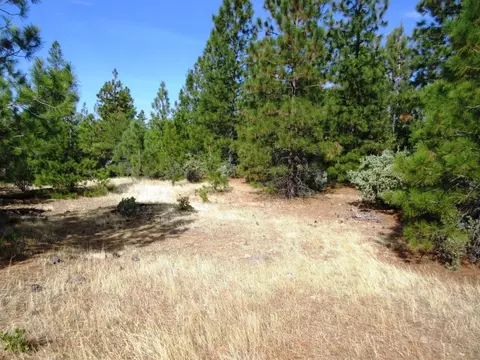 31018 Windy Point Dr, Montgomery Creek, CA 96065 photo 34