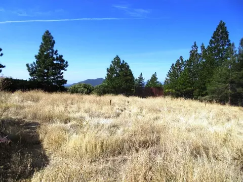 31018 Windy Point Dr, Montgomery Creek, CA 96065 photo 30