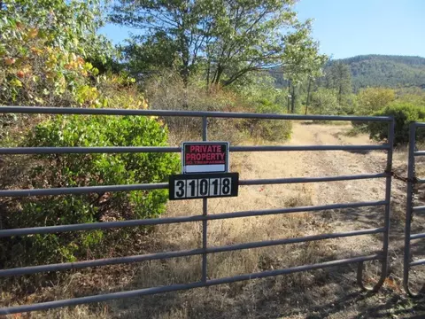 31018 Windy Point Dr, Montgomery Creek, CA 96065 photo 39