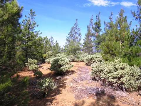 31018 Windy Point Dr, Montgomery Creek, CA 96065 photo 36