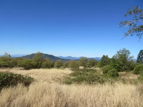 31018 Windy Point Dr, Montgomery Creek, CA 96065 photo 40