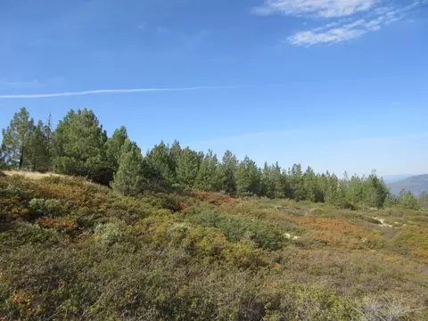31018 Windy Point Dr, Montgomery Creek, CA 96065 photo 31