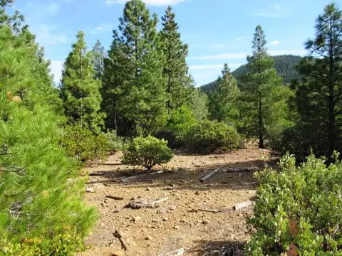 31018 Windy Point Dr, Montgomery Creek, CA 96065 photo 35