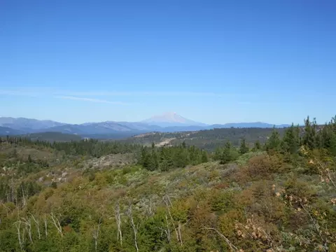 31018 Windy Point Dr, Montgomery Creek, CA 96065 photo 22