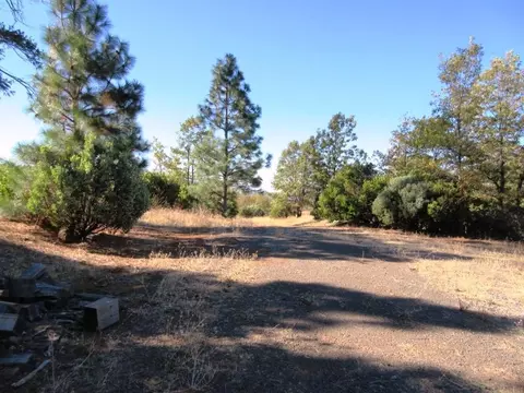 31018 Windy Point Dr, Montgomery Creek, CA 96065 photo 44