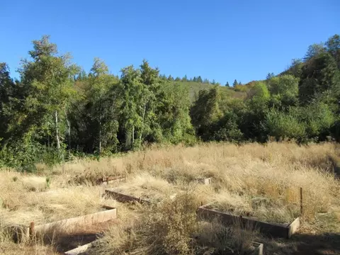 31018 Windy Point Dr, Montgomery Creek, CA 96065 photo 20