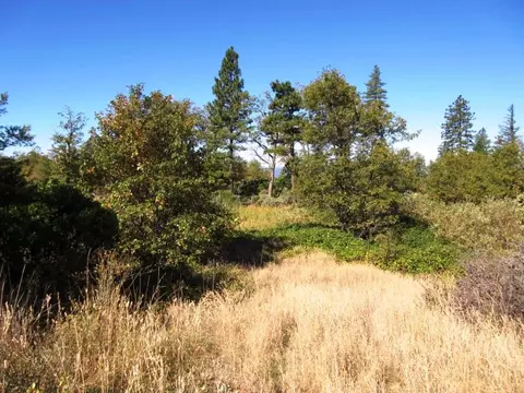 31018 Windy Point Dr, Montgomery Creek, CA 96065 photo 17