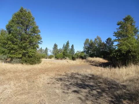 31018 Windy Point Dr, Montgomery Creek, CA 96065 photo 42