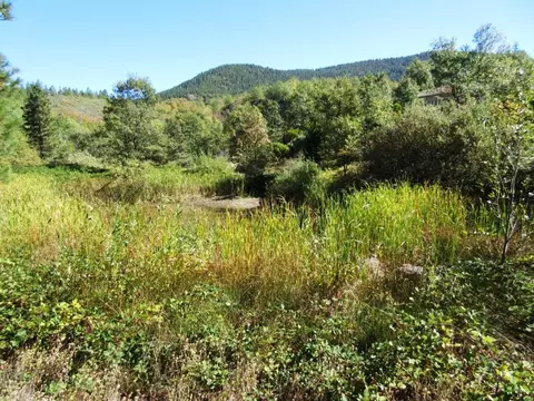 31018 Windy Point Dr, Montgomery Creek, CA 96065 photo 23