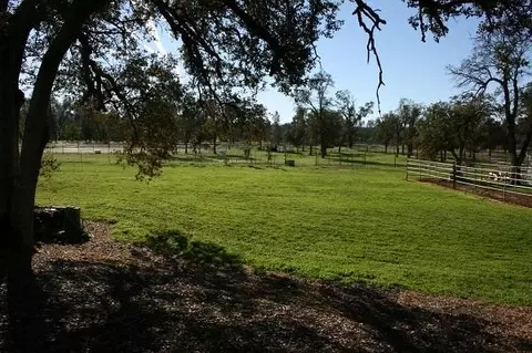 24433 Dersch Rd, Anderson, CA 96007 photo 24