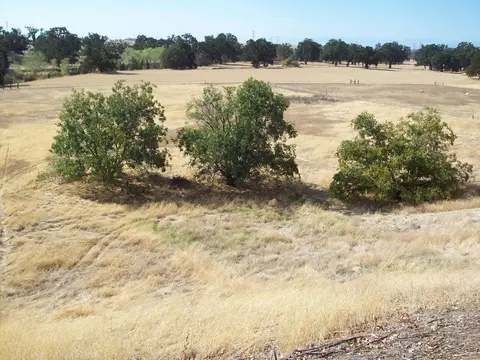 11744 Paskenta, Red Bluff, CA 96080 photo 21