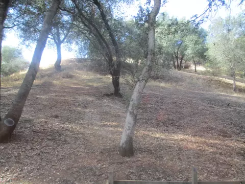 1348 Weide Way, Anderson, CA 96007 photo 12
