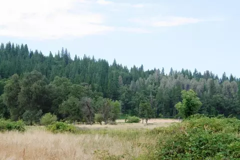 30378 Withrow Rd, Shingletown, CA 96088 photo 46