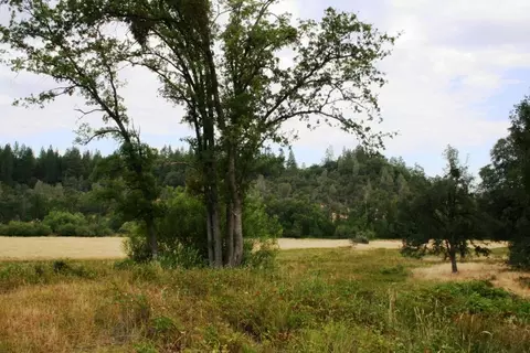 30378 Withrow Rd, Shingletown, CA 96088 photo 52