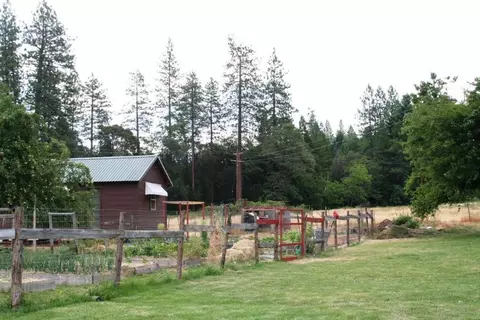 30378 Withrow Rd, Shingletown, CA 96088 photo 20