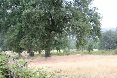 30378 Withrow Rd, Shingletown, CA 96088 photo 50