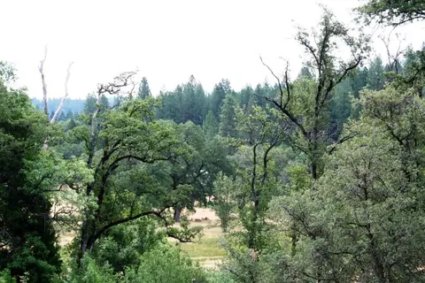 30378 Withrow Rd, Shingletown, CA 96088 photo 57