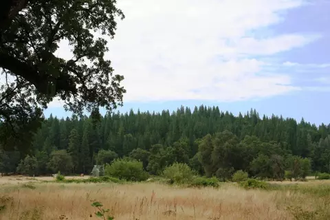 30378 Withrow Rd, Shingletown, CA 96088 photo 7