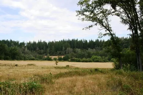 30378 Withrow Rd, Shingletown, CA 96088 photo 51