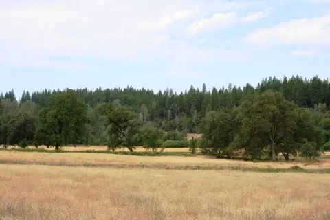 30378 Withrow Rd, Shingletown, CA 96088 photo 55