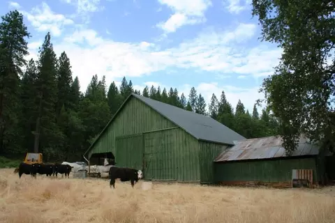 30378 Withrow Rd, Shingletown, CA 96088 photo 10
