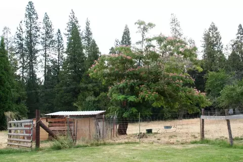 30378 Withrow Rd, Shingletown, CA 96088 photo 32