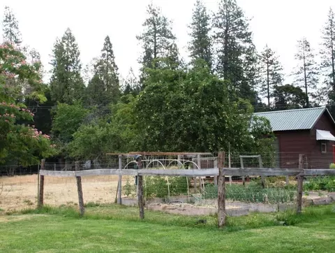 30378 Withrow Rd, Shingletown, CA 96088 photo 33