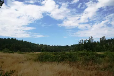 30378 Withrow Rd, Shingletown, CA 96088 photo 44