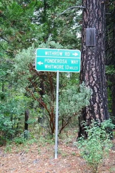 30378 Withrow Rd, Shingletown, CA 96088 photo 28