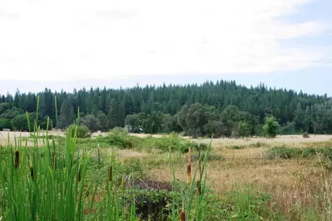 30378 Withrow Rd, Shingletown, CA 96088 photo 8