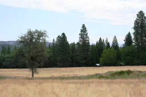 30378 Withrow Rd, Shingletown, CA 96088 photo 53