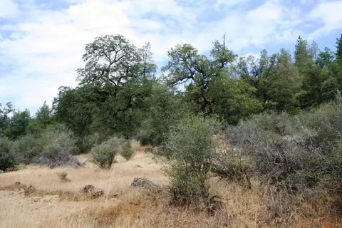 30378 Withrow Rd, Shingletown, CA 96088 photo 56
