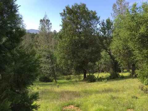 10311 Newfound Way, Redding, CA 96001 photo 33
