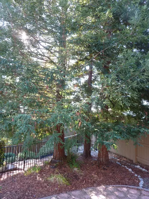 425 Vintage Path, Redding, CA 96003 photo 22