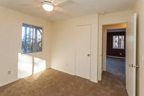 30206 Whitmore Rd, Whitmore, CA 96096 photo 22