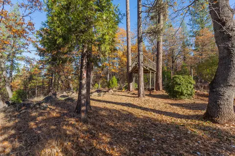 30206 Whitmore Rd, Whitmore, CA 96096 photo 50
